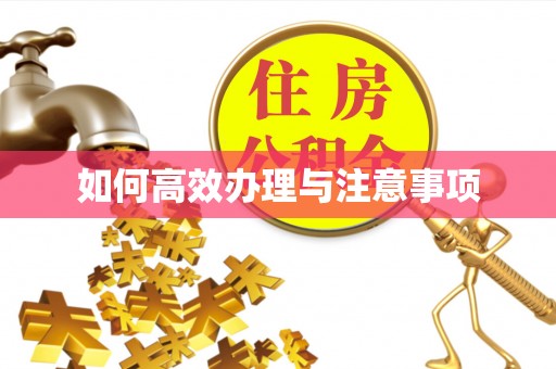 西陵如何高效办理与注意事项