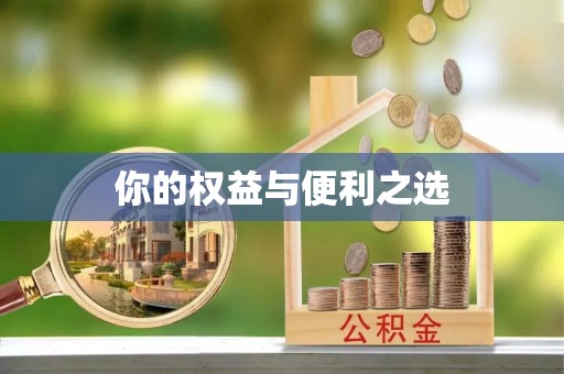 西陵你的权益与便利之选